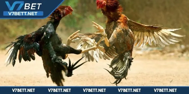 Những vấn đề cần chú ý tránh xảy ra sai lầm