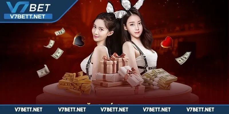Chọn đồng ý với chính sách điều khoản của V7BET