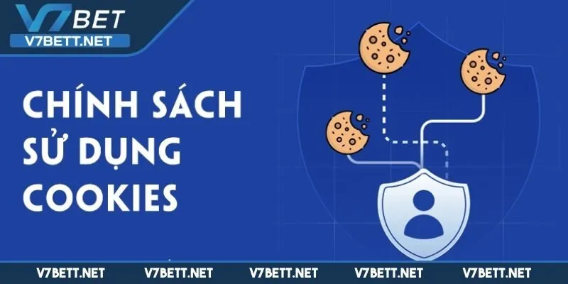 Chính sách Cookie có vai trò gì trong cá cược?