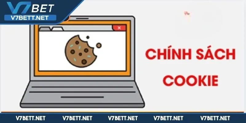 Phân loại Cookie trong Chính sách của V7BET