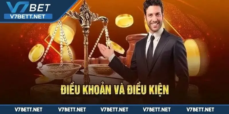 Vai trò thiết yếu của điều khoản sử dụng